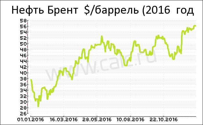 �������� ���� ����� ����� �� 2016 ���