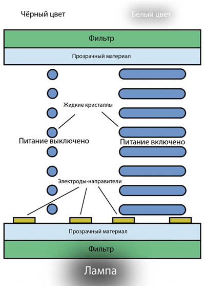 какие виды мониторов бывают. Смотреть фото какие виды мониторов бывают. Смотреть картинку какие виды мониторов бывают. Картинка про какие виды мониторов бывают. Фото какие виды мониторов бывают