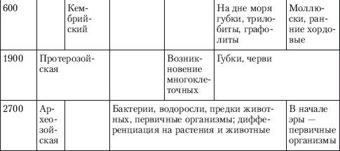 что собой представляет эволюция живых организмов. 301953576d2ee9498828.50433477. что собой представляет эволюция живых организмов фото. что собой представляет эволюция живых организмов-301953576d2ee9498828.50433477. картинка что собой представляет эволюция живых организмов. картинка 301953576d2ee9498828.50433477.