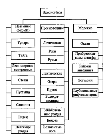 Строение экосистем.
